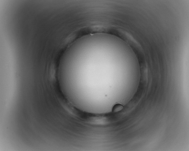 X0000115420266200911101637