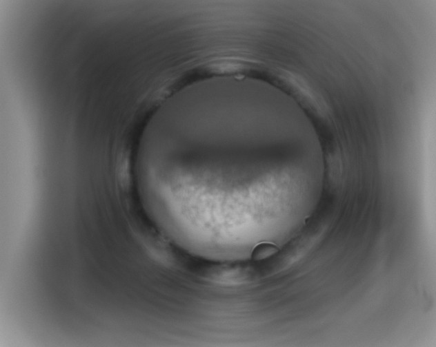 X0000115420267200911101637