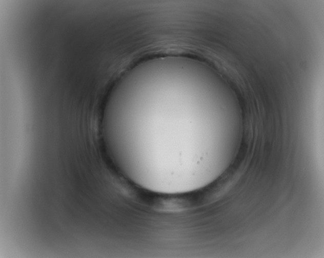 X0000115420268200911101637