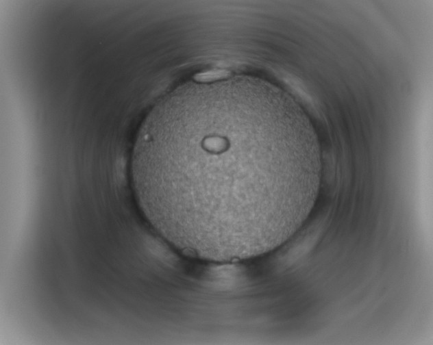 X0000115420269200911101637