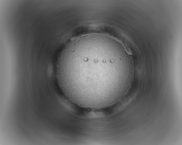 X0000115420270200911101637
