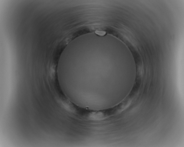 X0000115420271200911101637