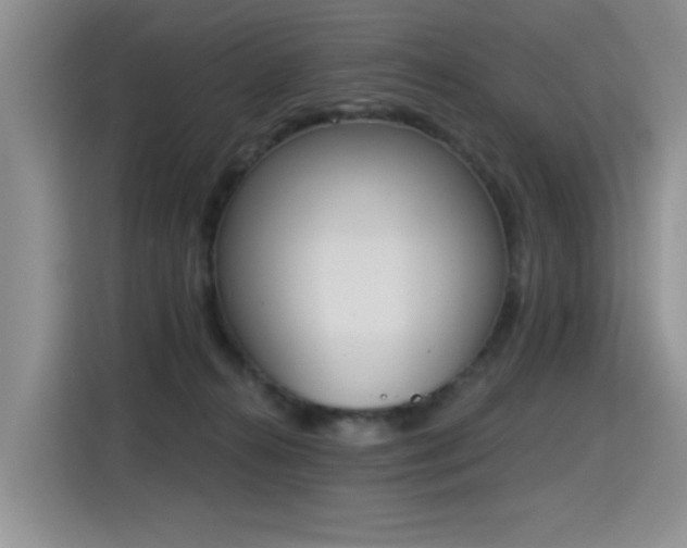 X0000115420272200911101637