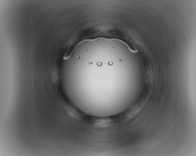 X0000115420274200911101637