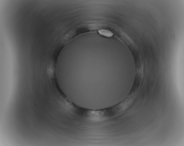X0000115420277200911101637