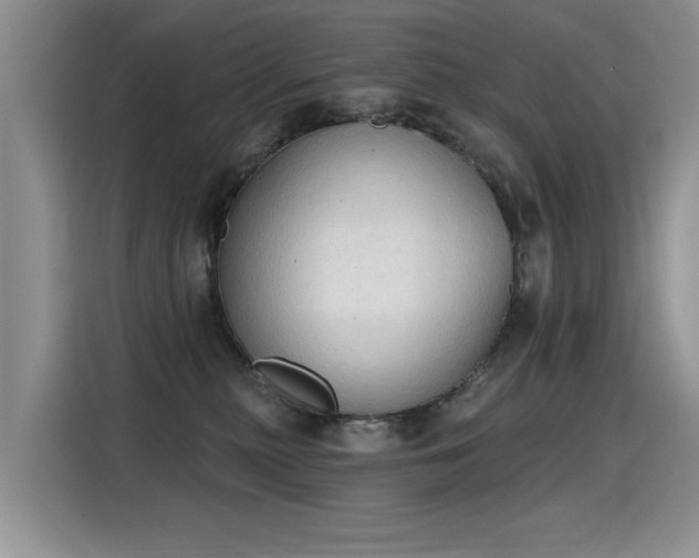 X0000115420279200911101637
