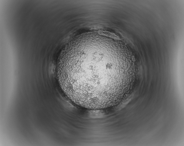 X0000115420281200911101637