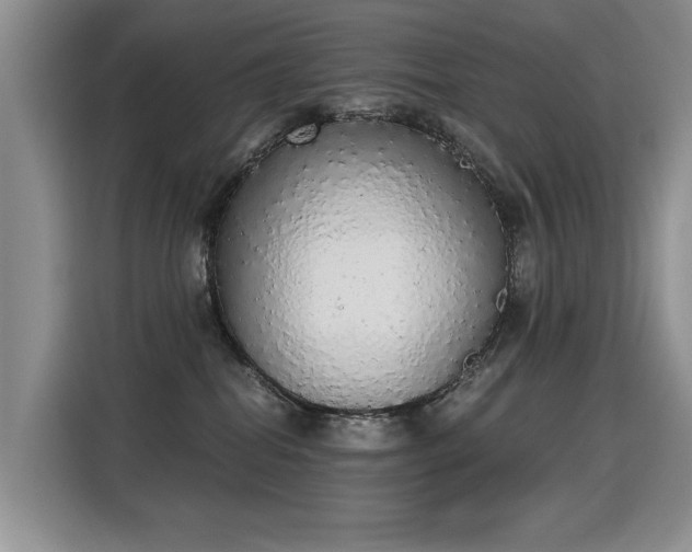 X0000115420282200911101638
