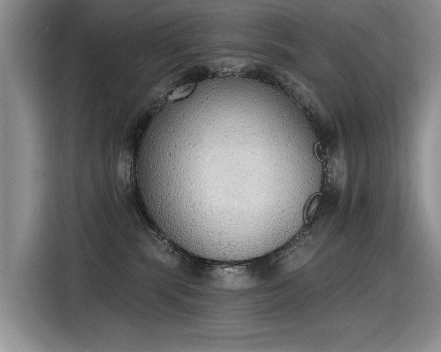 X0000115420283200911101638