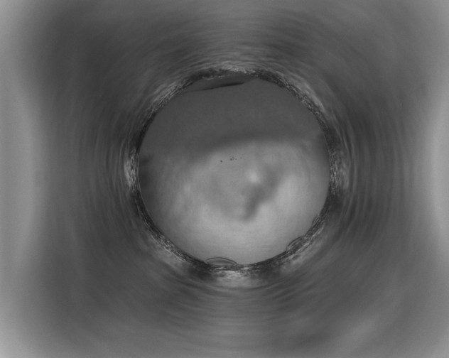 X0000115420285200911101638