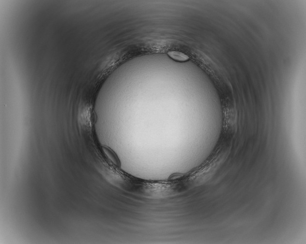X0000115420286200911101638