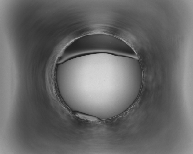 X0000115420289200911101637