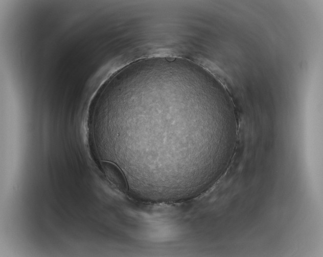 X0000115420290200911101637