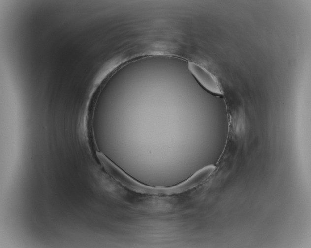 X0000115420292200911101637