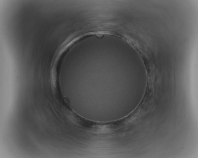 X0000115420295200911101637