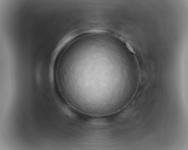 X0000115420296200911101637