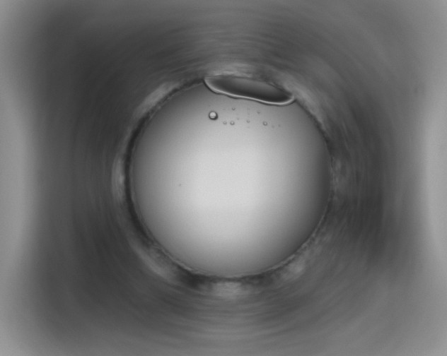 X0000115420298200911101637