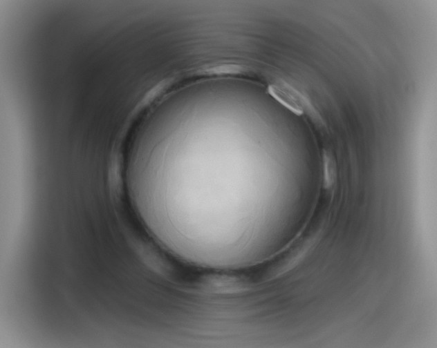 X0000115420300200911101637