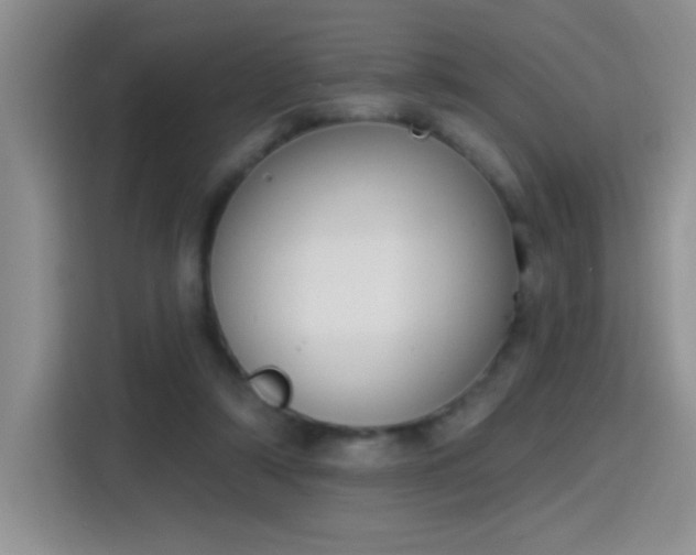 X0000115420306200911101637