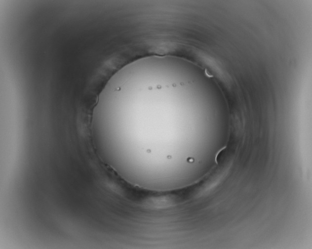 X0000115420307200911101637