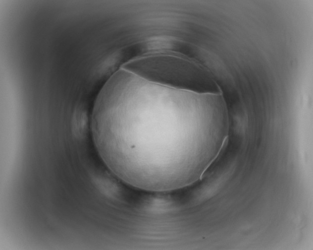 X0000115420308200911101637