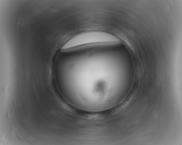 X0000115420309200911101637