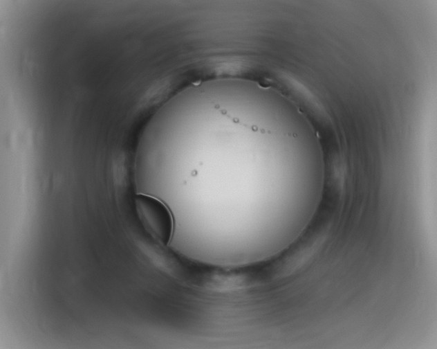 X0000115420311200911101637