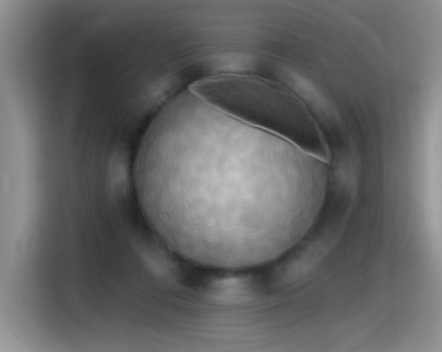 X0000115420312200911101637