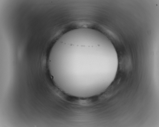 X0000115420314200911101637