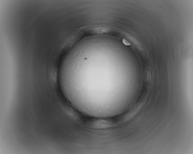 X0000115420315200911101637