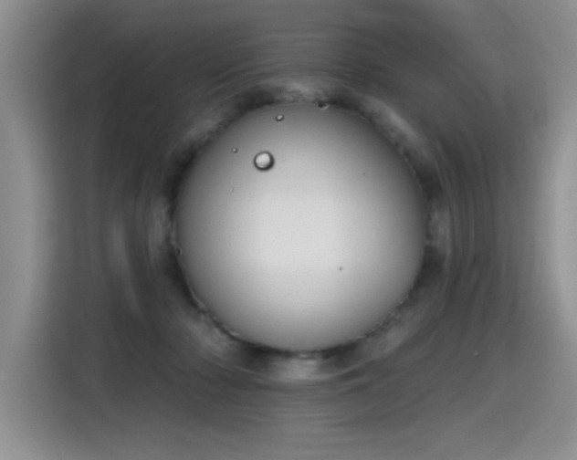 X0000115420318200911101637