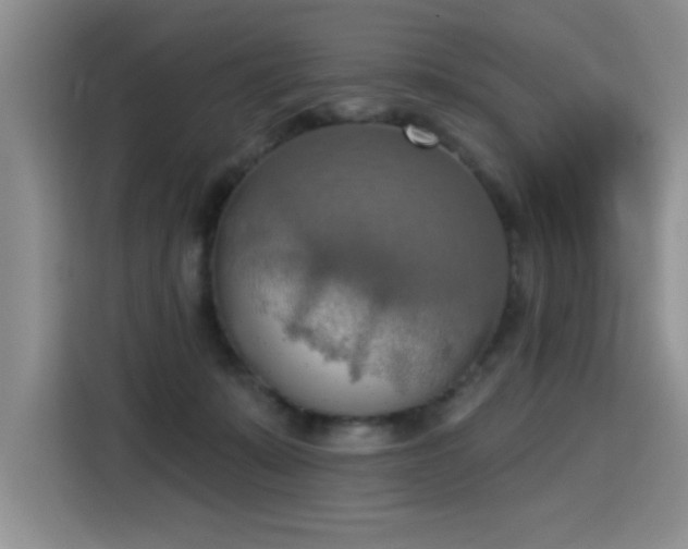X0000115420319200911101637