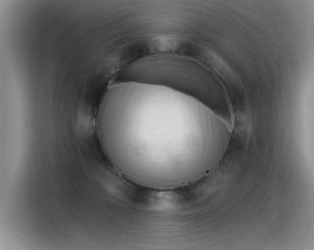 X0000115420324200911101637