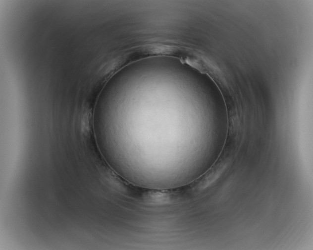 X0000115420325200911101636
