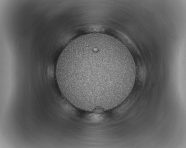 X0000115420326200911101636