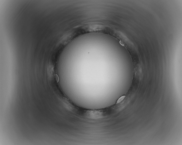 X0000115420327200911101636
