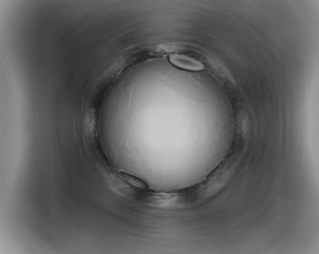 X0000115420328200911101636