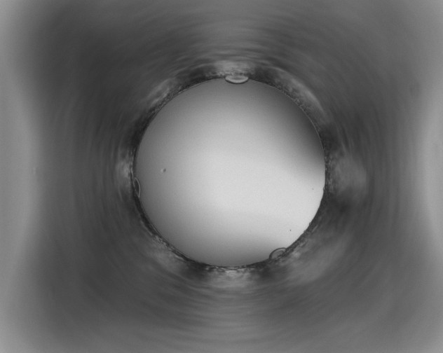 X0000115420329200911101636