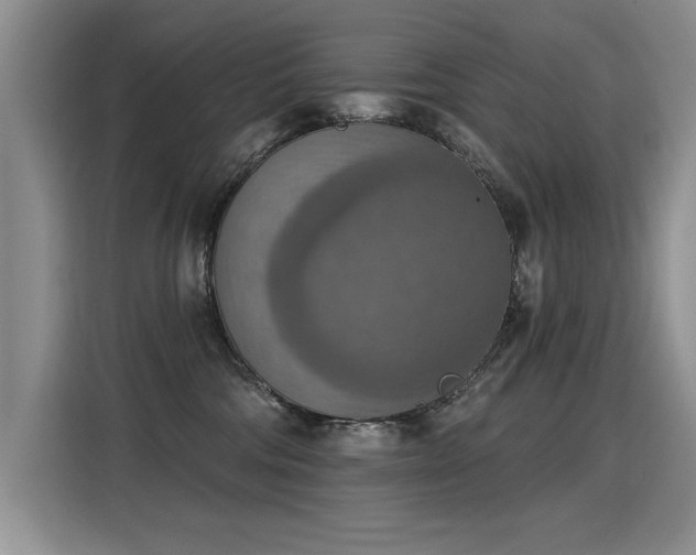 X0000115420330200911101636