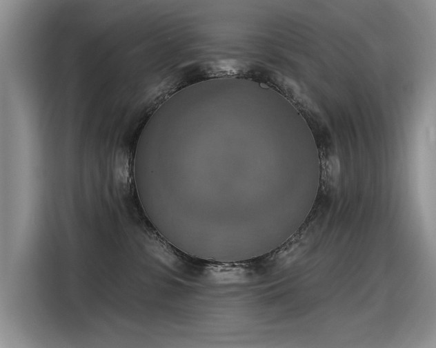 X0000115420331200911101636