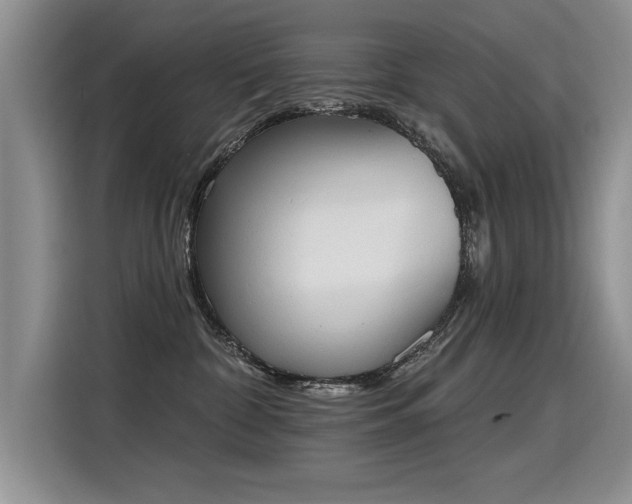 X0000115420332200911101636