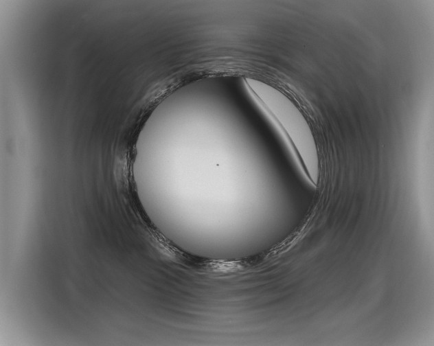 X0000115420333200911101636