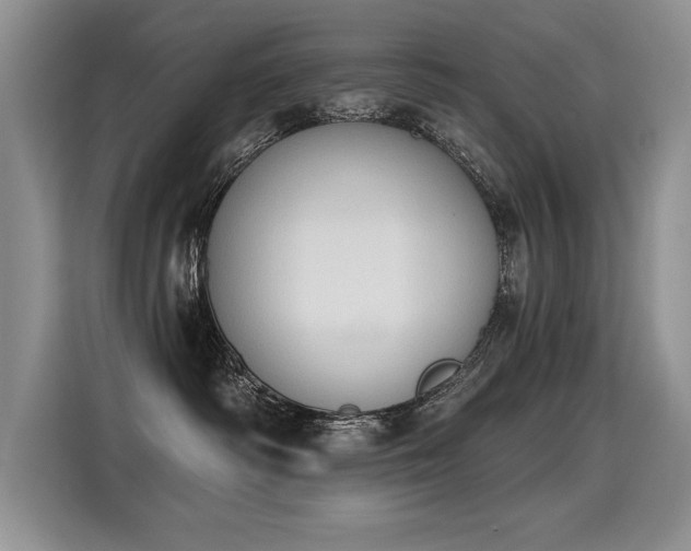 X0000115420334200911101636
