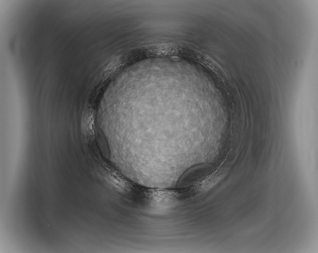 X0000115420336200911101636