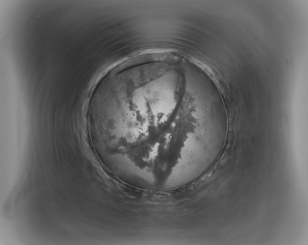 X0000115420337200911101636
