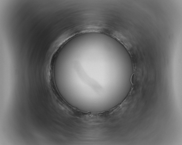 X0000115420338200911101636