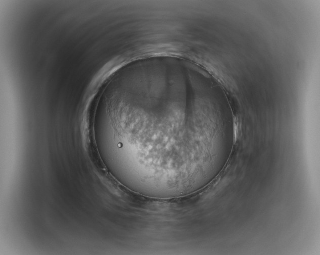 X0000115420339200911101636