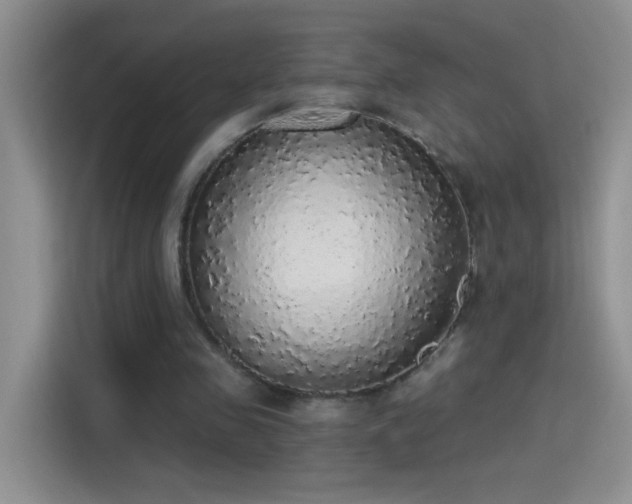 X0000115420341200911101636