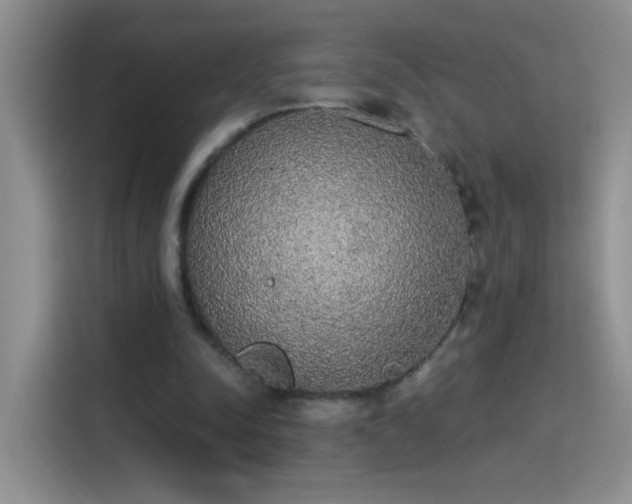 X0000115420342200911101636