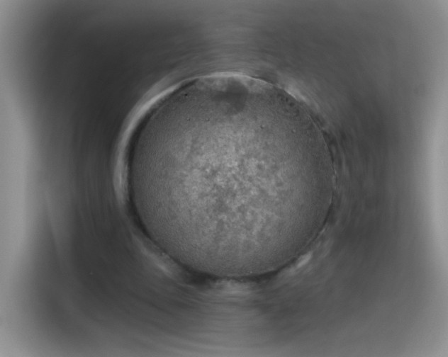 X0000115420343200911101636